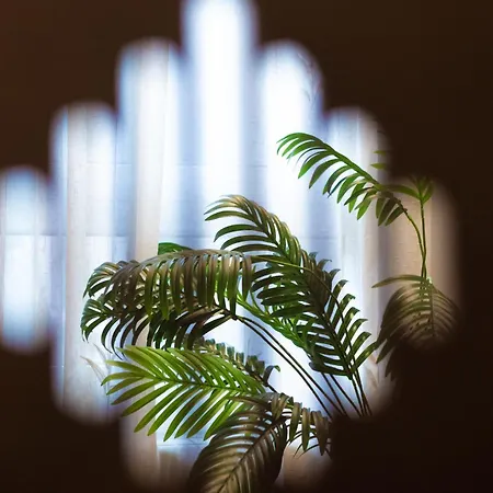 Luminoso, Ascensor, Tranquilo, Centro De アパート ビルバオ