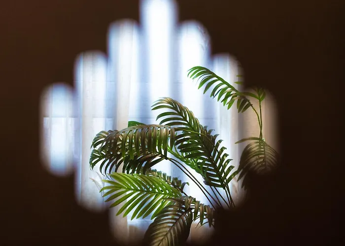 Luminoso, Ascensor, Tranquilo, Centro De Daire Bilbao